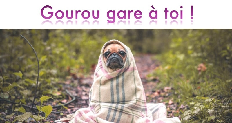 gourou gare à toi gourou gare à toi