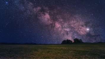Cosmos Cosmos