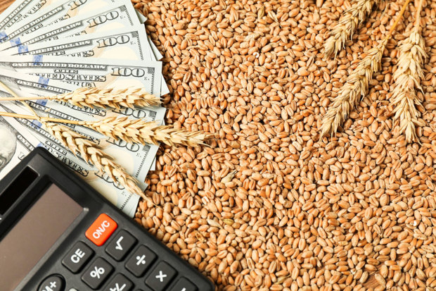 Argent et graines de blé