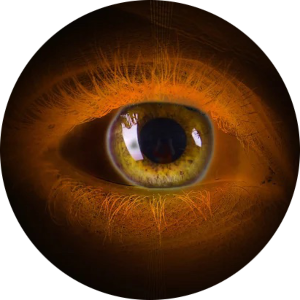 L'oeil omniscient L'oeil omniscient