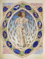 L'homme zodiacal des Très riches heures L'homme zodiacal des Très riches heures