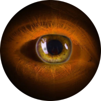L'oeil omniscient L'oeil omniscient