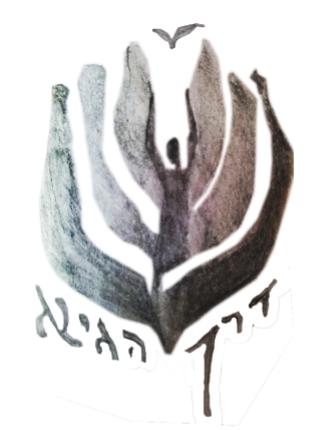 Logo ecole isreal