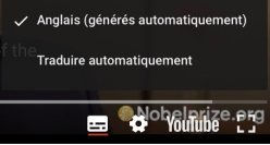 traduire automatiquement