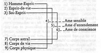 GA99 C2 scan lesconstituants