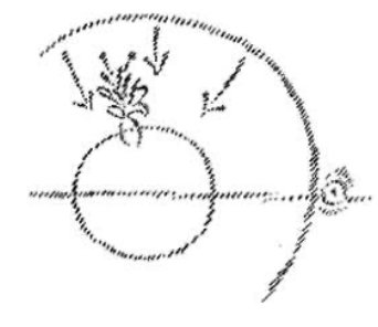 Dessin de la terre (un cercle) entour&eacute; d'un autre cercle avec des fl&egrave;ches pointant vers la terre