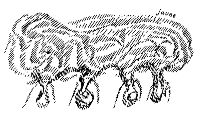 GA237 C11 01