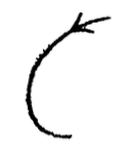 Une forme de C