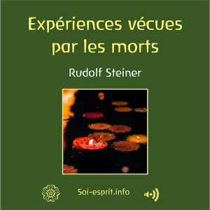 GA140A Pochette experience morts pt GA140A Pochette experience morts pt