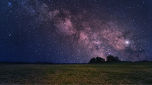 Cosmos